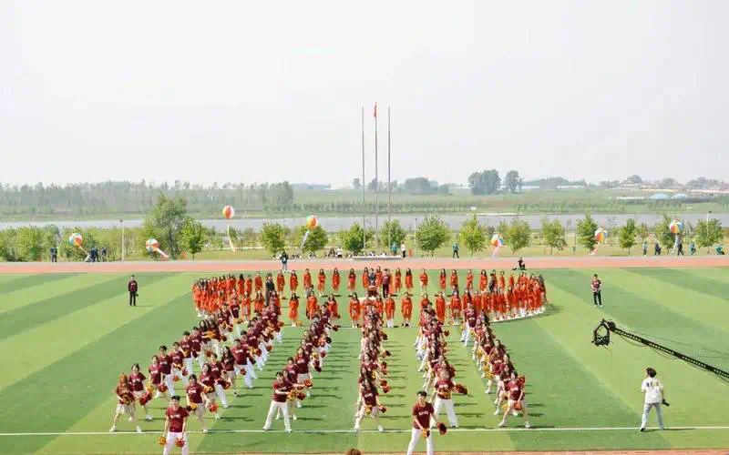 网球拍定型横梁是什么意思